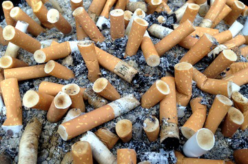 Stop Smoking Pile of used cigarettes in ash